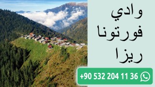 وادي فورتونا ريزا